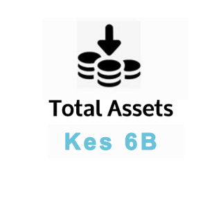 Total Assets