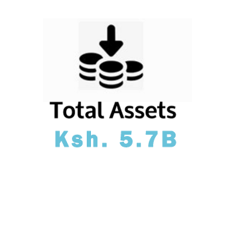 Total Assets