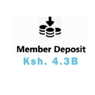 Member Deposit